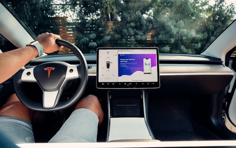 person behind Tesla steering wheel