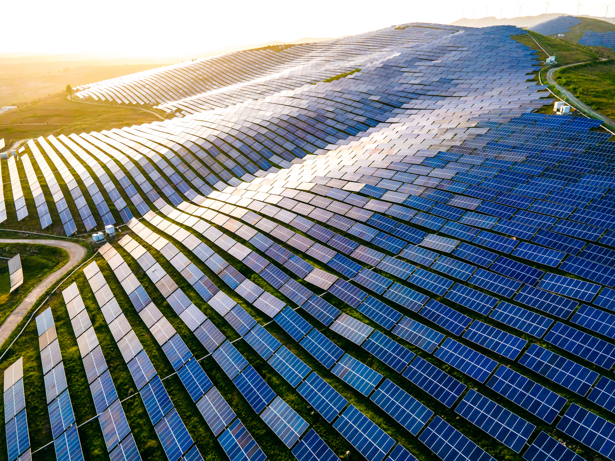 Field of solar panels reflecting the sun