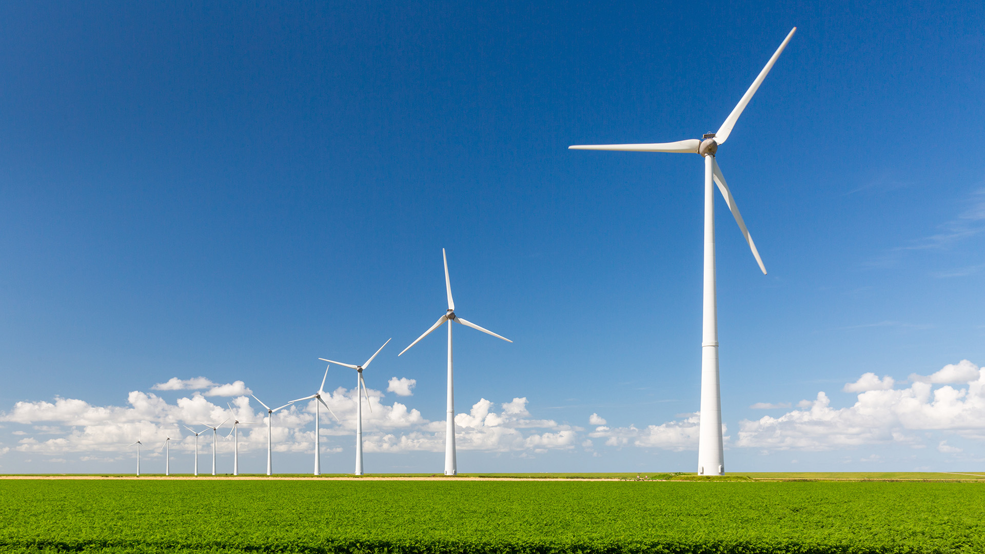 White wind turbines in front of clear blue skies and standing tall over a green field.